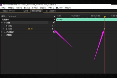 图片[2]-PR 关键帧用法全解析：解锁视频特效制作的奥秘 - 咸鱼科技躺盐社区-咸鱼科技躺盐社区